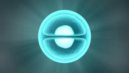 Αποτέλεσμα εικόνας για proton to proton fusion